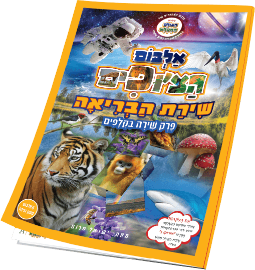 אלבום הצ׳ופים — שירת הבריאה, פרק שירה בקלפים