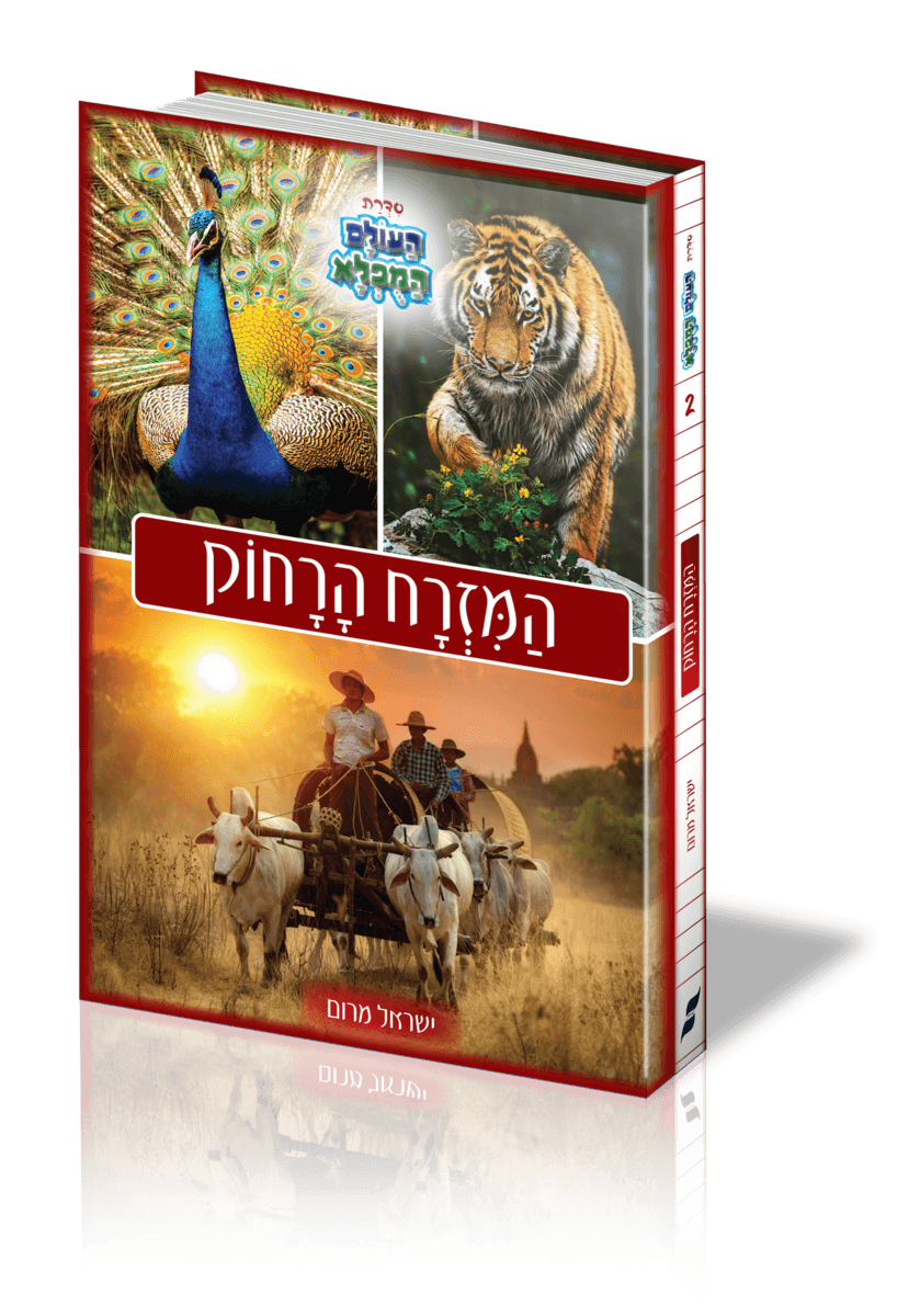 המזרח הרחוק